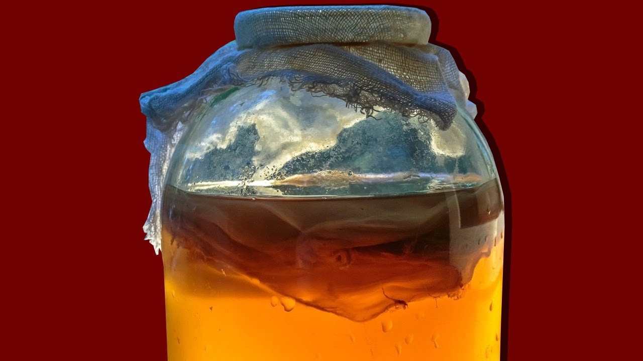 ЧТО ТАКОЕ ЧАЙНЫЙ ГРИБ? смотреть онлайн