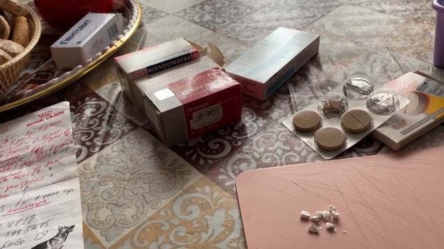 Болезнь шпица. Лечение коллапса трахеи. Обед на мангале. Влог. смотреть онлайн