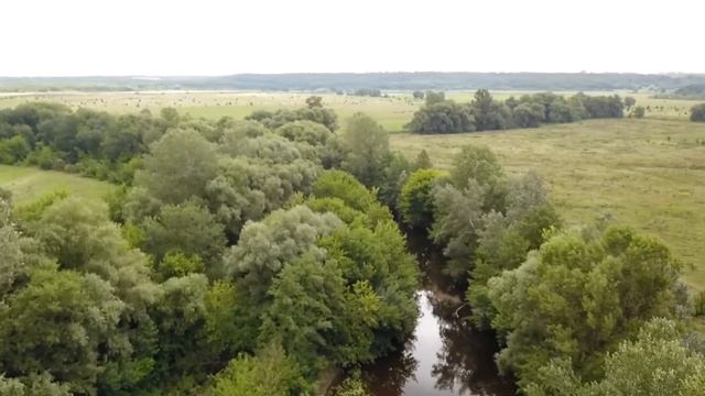 Река Сула Лубенский район Полтавская область смотреть онлайн