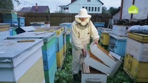 Как устроен улей // Вопросы пчеловоду // Начинающему пчеловоду СМОТРЕТЬ ОБЯЗАТЕЛЬНО