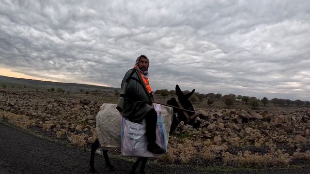 Ищем невесту до 45, жених есть!!! :))) смотреть онлайн