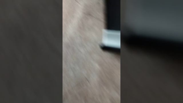 Кира Идёт на танцы /#делаю уроки с реборном смотреть онлайн