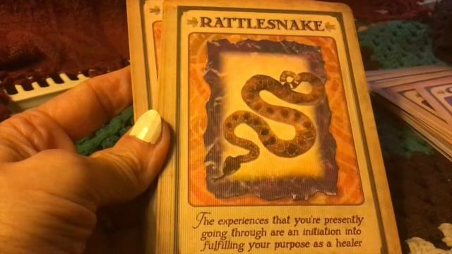 Flip Through of Messages From Your Animals Spirit Guides Oracle Cards by Steven D Farmer. Close Up смотреть онлайн