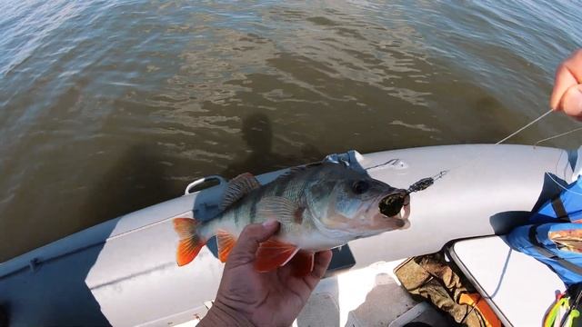 ТЕЙЛ-СПИННЕР делает РЫБАЛКУ! Нескучной! смотреть онлайн