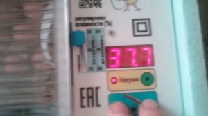 Инкубатор Блиц Норма ц8