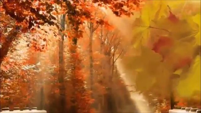 ЗОЛОТАЯ ОСЕНЬ. ОСЕНЬ В МОЕЙ ДУШЕ. ЗАКРУЖИЛА ОСЕНЬ ЗОЛОТАЯ смотреть онлайн