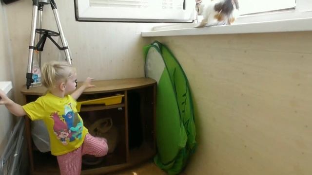 ПРИКОЛЫ С КОШКАМИ ?КАТЯ ИГРАЕТ С КОШКАМИ ? смотреть онлайн