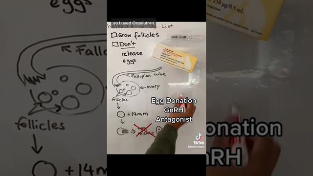 Egg Donation: IVF treatment (2/3) GnRH Antagonist смотреть онлайн