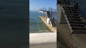 Санаторий «Русь», Геленджик 2020