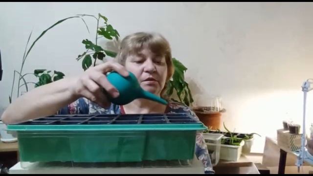 Стройка Секретов