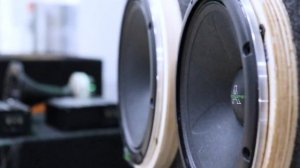 Обзор на новинки от компании Alphard. DeafBonce AP-M61AC & AP-M81AC. прослушка.