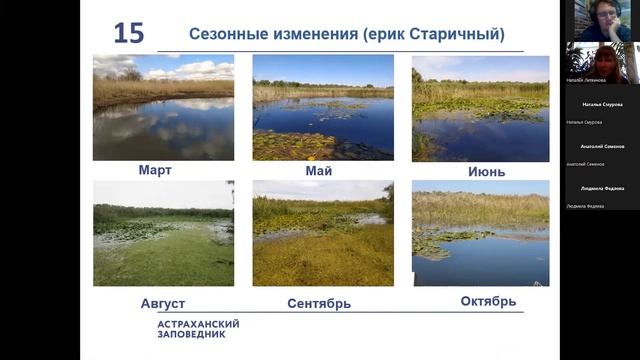 Литвинова Н.В. Особенности и экосистемная роль малых водоёмов Астраханского заповедника смотреть онлайн