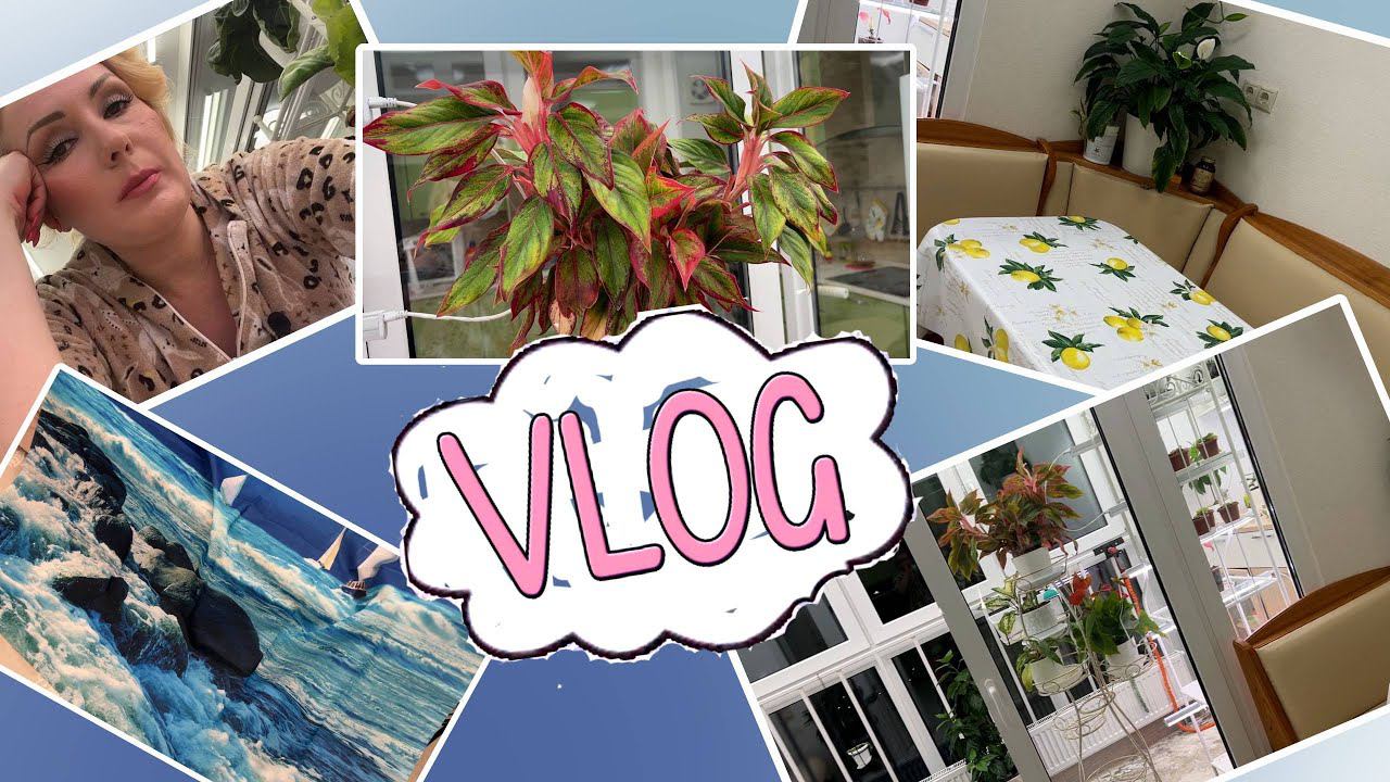 VOG: ПОДАРОК ДЛЯ МАМЫ, ЦВЕТОК "ЛЕШИЙ", ЗИМНИЙ САД и просто болтовня смотреть онлайн