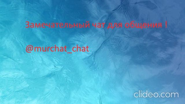 тг чат для общения смотреть онлайн