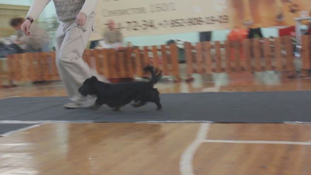 СИБИРСКИЙ ТАКСАГРАД ПОРТОС ДЛИННЫЙ НОС 9 месяцев 1 день смотреть онлайн