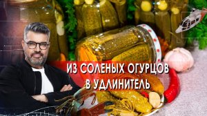 Из соленых огурцов в удлинитель! | Знаете ли вы, что? (18.12.2021).