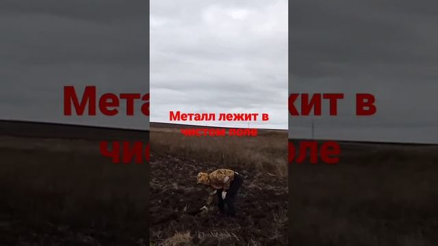#копметалла #металлоискатель #металлокоп #топ смотреть онлайн