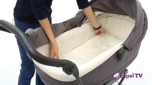 Коляска-люлька Inglesina Sofia (шасси Ergobike) 2018 (Инглезина София)