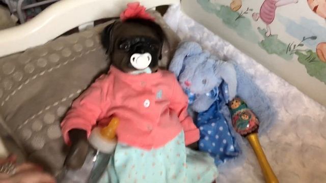 ДЕВОЧКА СОБАЧКА ?. Мопс . РЕБОРН Куклы. Влог . смотреть онлайн