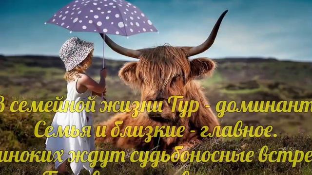 3 марта 2022 г. смотреть онлайн