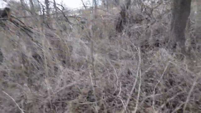 Знакомство с участком . Часть 1 смотреть онлайн