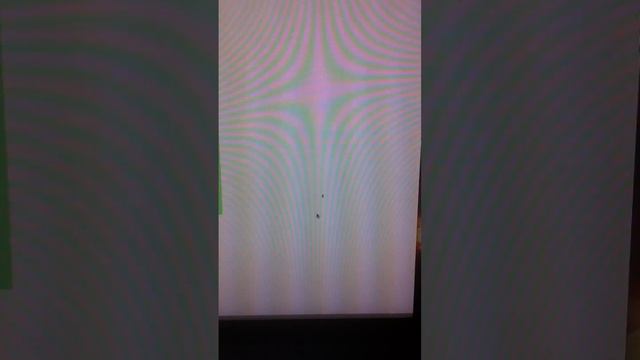 Pet Spider Inside Computer смотреть онлайн