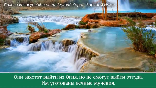 ЭТОТ КОРАН ВКЛЮЧАЙТЕ, АНГЕЛЫ БУДУТ ОКРУЖАТЬ ТЕБЯ - АЛЛАХ ДАЕТ ПРОЩЕНИЕ И МИЛОСТЬ смотреть онлайн