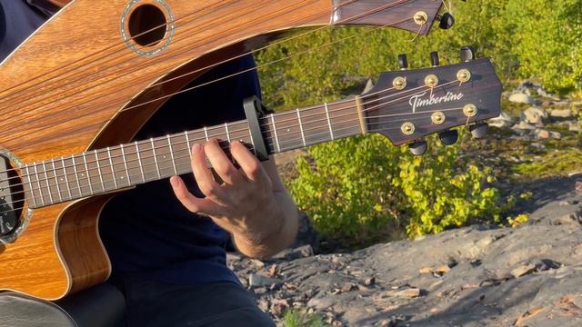 The Man Who Sold The World - Harp Guitar Cover - (David Bowie/Nirvana) смотреть онлайн
