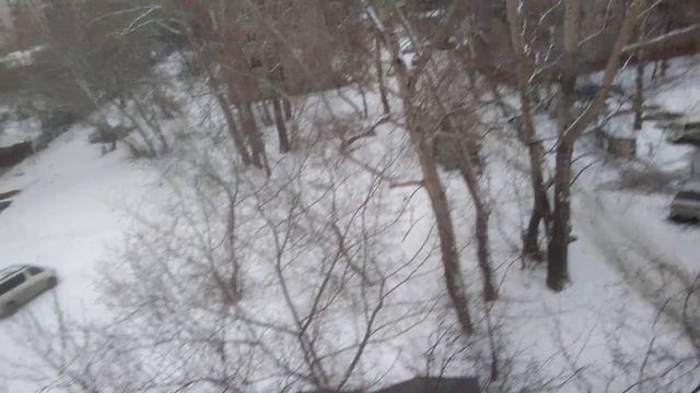 Новосибирск27ноября2023ПолеЧудесХроникиДень44ЖелезныеДворцыШлифуютПеньБлагоустраиваются