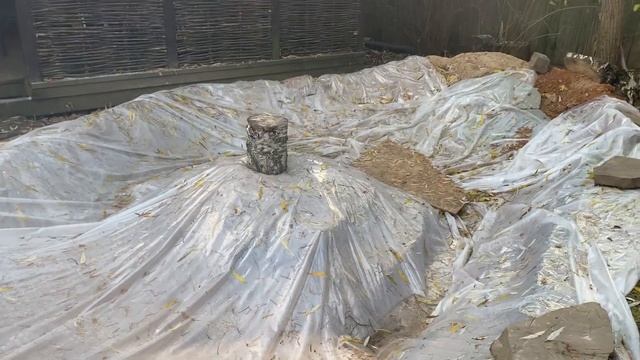 Розы под укрытием, прудик, и ель акрокона смотреть онлайн