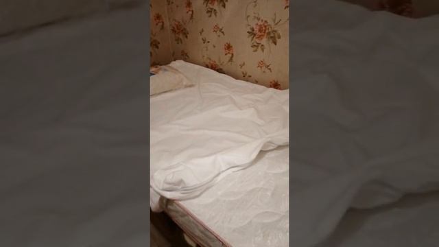 Отзыв о матрасе Sontelle Libre Castom hall + 120*200 и магазине «Анатомия сна» смотреть онлайн