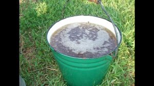 КАК НА ВСЕ ЛЕТО ИЗБАВИТСЯ ОТ СОРНЯКА.Как быстро и дешево избавится от сорняков..