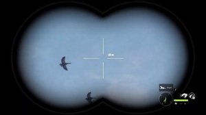 the hunter call of the wild - Быстрый ФАРМ денег - Как охотиться на Гусей 2022 - Итоги розыгрыша