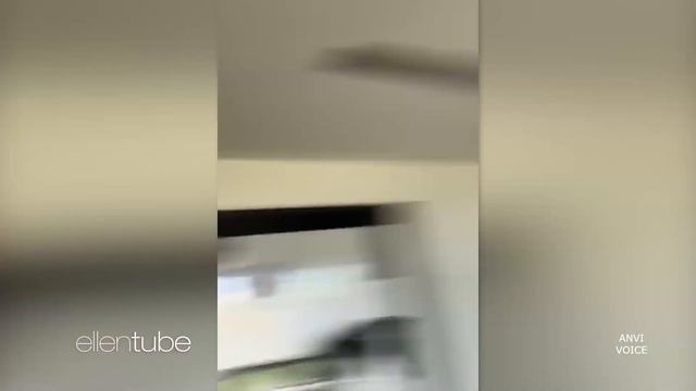 Эллен Дедженерс смотрит шоу Эллен Дедженерес / Русская озвучка от ANVI VOICE смотреть онлайн