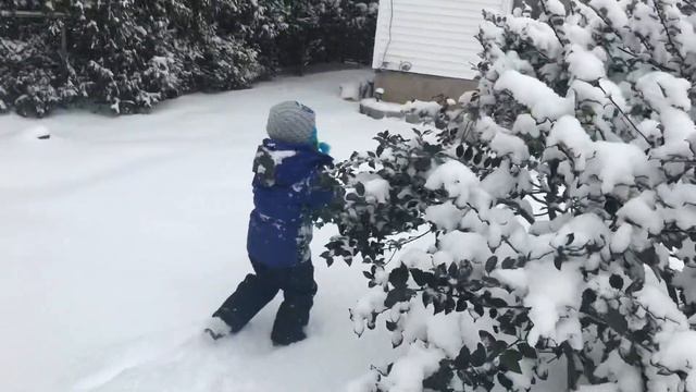 SNOW FIGHT| SOLOMITA/DAVID HAVING FUN OUT SIDE WITH SNOW ❄️ смотреть онлайн