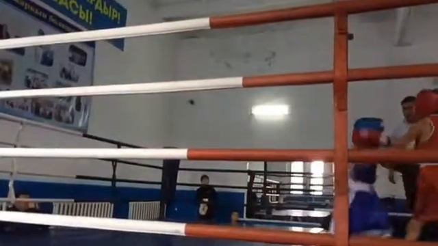 Бокстан жарыс Даулет,браво смотреть онлайн
