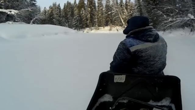 Хариус на лесной речке  День первый   есть начало !!!