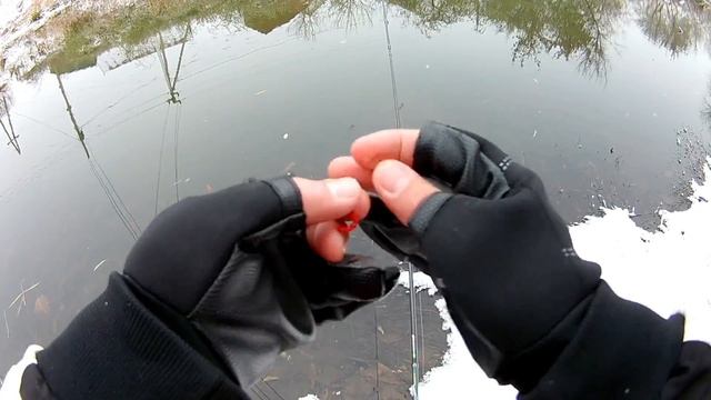 Предзимний мормышинг. Душевное закрытие сезона открытой воды, с DAYO Prestige 1.98. смотреть онлайн