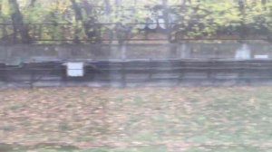 Перегон Кунцевская Арбатская-Покровская Линия Молодёжная