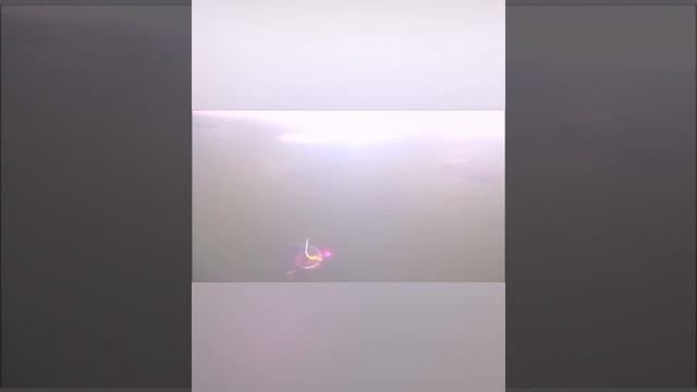 Ловля форели на резину!! смотреть онлайн