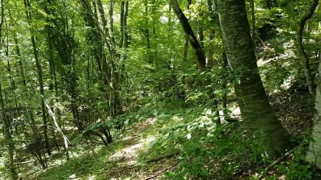 Медитация на Деньги и Успех в местах силы Большой Каньон Крыма. Андрей Ховратов. смотреть онлайн