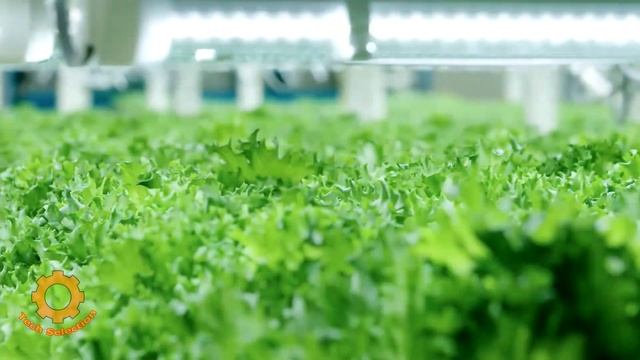 Как работают вертикальные фермы смотреть онлайн