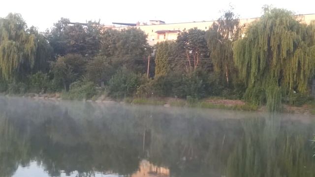 ТУМАННОЕ УТРЕННЕЕ ОЗЕРО смотреть онлайн