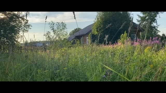 4 СТРАШНЫЕ ИСТОРИИ ЗА август 2022. Страшные истории на ночь. Страшилки смотреть онлайн