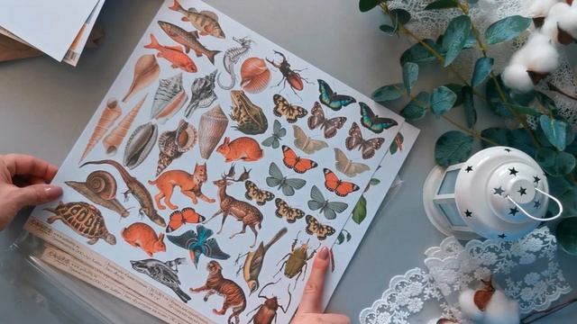 Скрапбукинг | Обзор дизайн посылки от Арт-Хобби смотреть онлайн