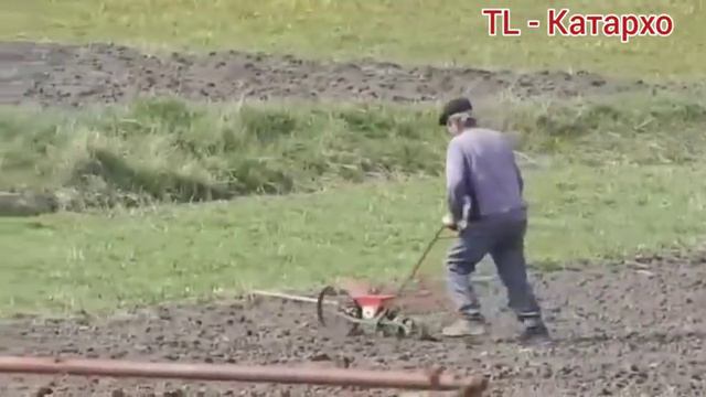 Посевная кампания на Алтае перешла в активную фазу... смотреть онлайн