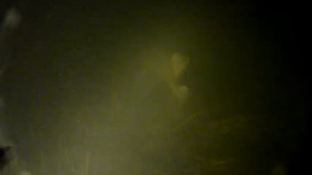 Подводная охота зимой смотреть онлайн