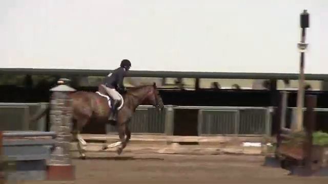 Video of CENTURION ridden by LIZA RICHARDSON from ShowNet! смотреть онлайн
