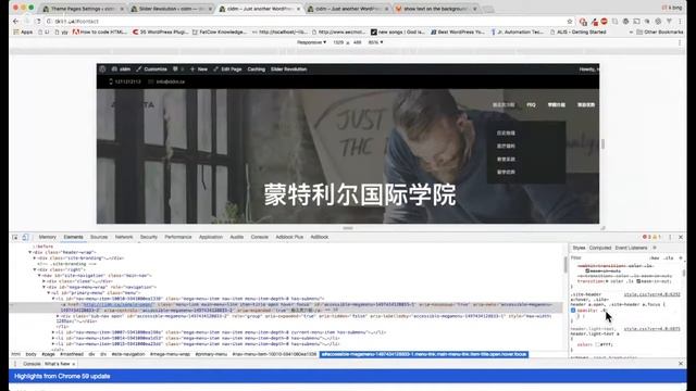 How to change menu style and size in wordpress смотреть онлайн