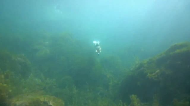 Aqua Jet CM5-1 Gcamolech Surfboard Underwater Scooter 500w Diving 50mins Sea Doo Scooter Water Spor